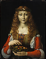 Girl with Cherries (also attributed to Giovanni Ambrogio de Predis), 1495, boltraffio