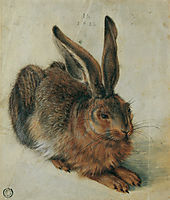 Hare, 1528, durer