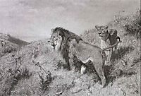 Löwenpaar in der Savanne, friese