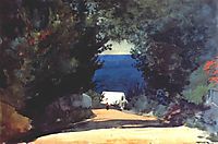 Road in Bermuda, c.1901, homer
