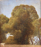 Study of trees, 1849, ingres