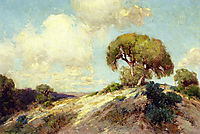 Sunlit Hillside, 1913, onderdonk