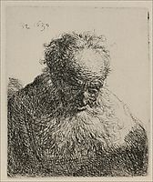 An Old Man with a Large Beard, 1630, rembrandt