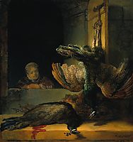 Dead peacocks, 1639, rembrandt