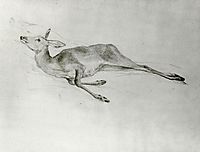 Deer, c.1872, sargent