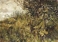 Goutweed-grass, shishkin