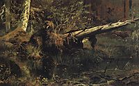 Wood (Shmetsk near Narva), 1888, shishkin
