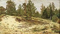 Young pines on the sandy cliff. Mary-Howie on Finnish Railways, 1890, shishkin
