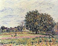 Walnut trees at sunset in early October, c.1882, sisley