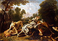 Dogs fighting, snyders