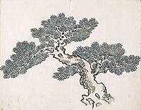 Untitled (a tree), taiga