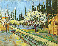 Orchard in Blossom, Bordered by Cypresses, 1888, vangogh
